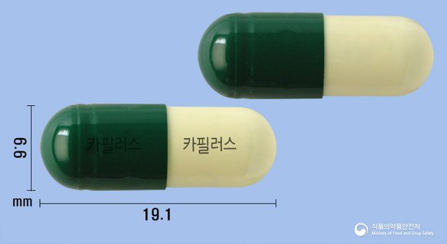 카필러스캡슐 낱알