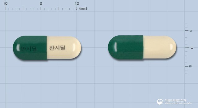판시딜캡슐 낱알